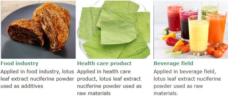 lotus leaf extract powder application